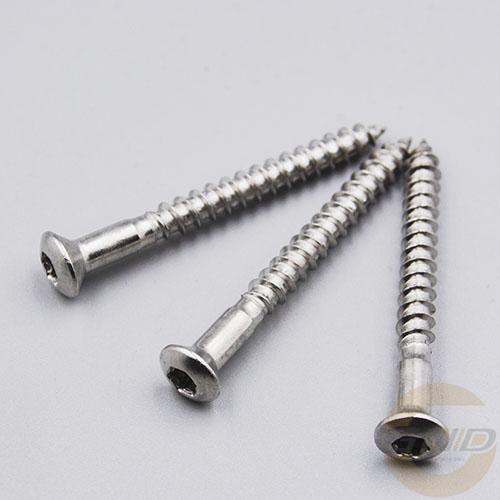 Stainless Steel Screw